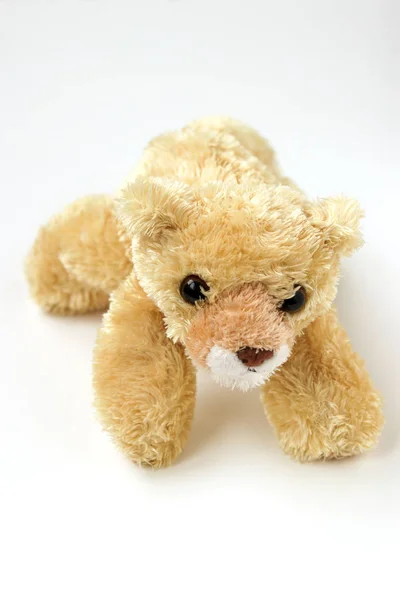 Urso de brinquedo macio está localizado em um fundo branco — Fotografia de Stock