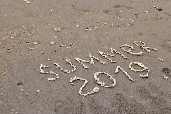 The inscription on the sand laid out of corals, Summer 2019 travel concept, With copy space for text — Stock Photo, Image