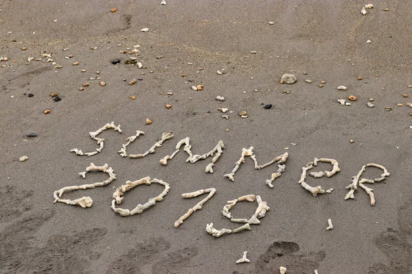 The inscription on the sand laid out of corals, Summer 2019 travel concept, With copy space for text — Stock Photo, Image