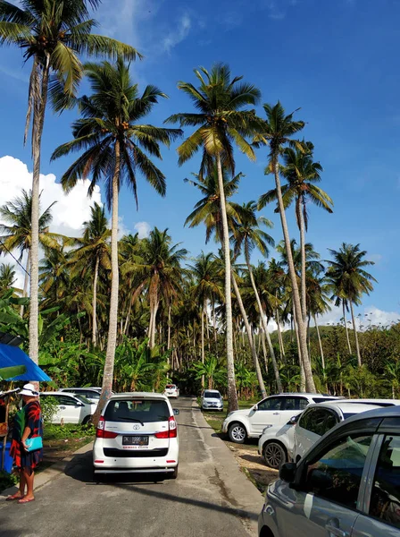 12 listopada 2018, Nusa Penida Wyspa w pobliżu Bali, Indonezja, parking samochodowy w pobliżu wysokich drzew palmowych — Zdjęcie stockowe