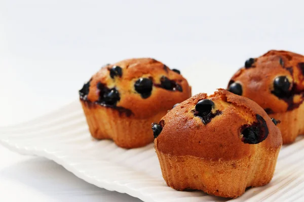 Muffins con grosella negra sobre fondo blanco, foto horizontal — Foto de Stock