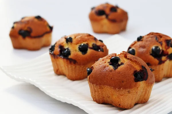 Muffin con ribes nero su sfondo bianco, foto orizzontale — Foto Stock