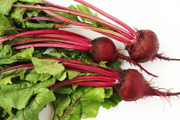 Young beet with a tops is placed on a white background