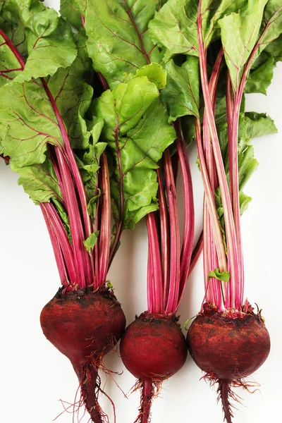 Young beets with tops are located on a white background vertically, top view