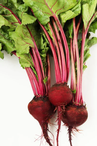 Young beets with tops are located on a white background vertically, top view