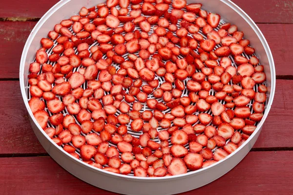 Strawberry cut in half laid out for cooking chips in an electric dryer — Stock Photo, Image