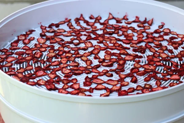 Gătit chips-uri de căpșuni într-un uscător electric, alimente sănătoase — Fotografie, imagine de stoc
