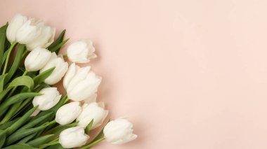 Taze bahar beyaz lale buket hafif bir pastel arka plan üzerinde yatıyor, Kopya alanı