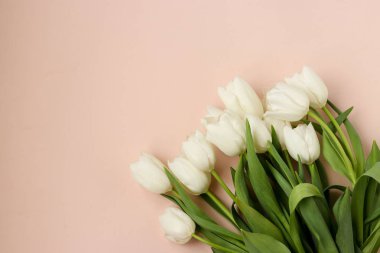 Taze bahar beyaz lale buket hafif bir pastel arka plan üzerinde yatıyor, Kopya alanı