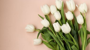 Taze bahar beyaz lale buket hafif bir pastel arka plan üzerinde yatıyor, Kopya alanı