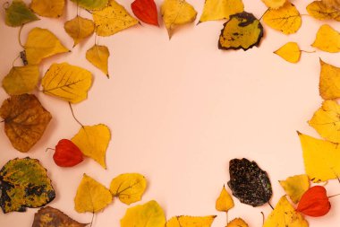 Sonbahar yapraklarından yapılmış çerçeve ile sonbahar kompozisyonu, yatay yönlendirme, üst görünüm, kopyalama alanı