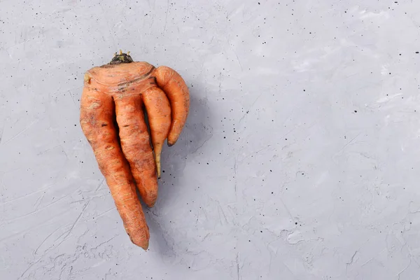 Zanahoria fresca fea sobre fondo gris claro. Concepto de verduras naturales orgánicas. Vista superior. Copiar espacio — Foto de Stock
