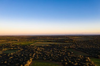 Kırpma alanlarının hava fotoğrafçılığı, Ispanya, Balearic Adaları, Mallorca, Llucmajor