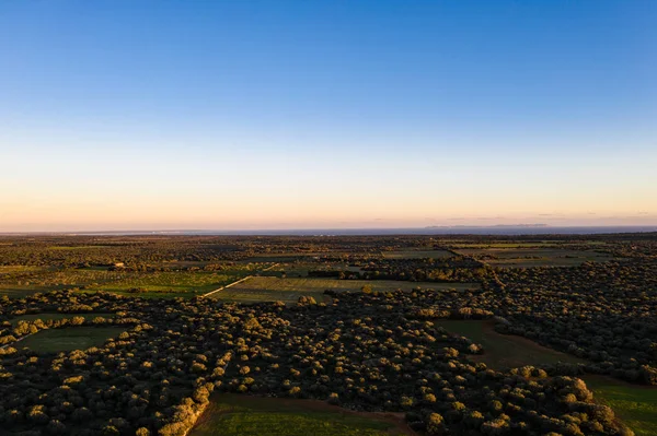 Kırpma alanlarının hava fotoğrafçılığı, Ispanya, Balearic Adaları, Mallorca, Llucmajor