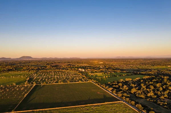 Kırpma alanlarının hava fotoğrafçılığı, Ispanya, Balearic Adaları, Mallorca, Llucmajor