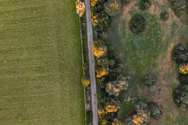 Kırsal bir yolun havadan görünümü, Balearic Adaları, Ispanya, Mallorca, Llucmajor