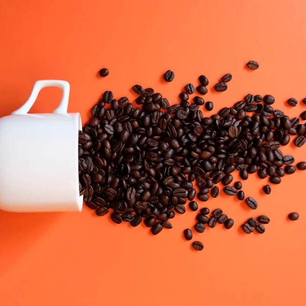 흰색 절연 커피 컵에 커피 콩 — 스톡 사진