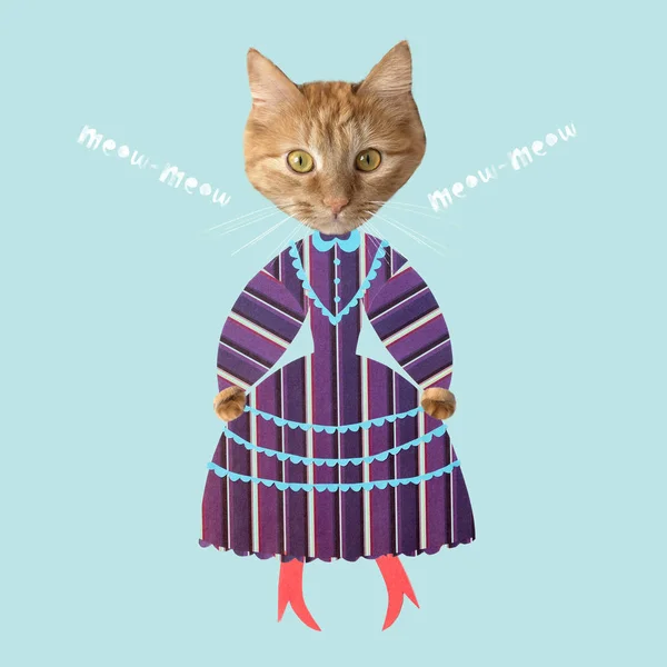 Gember kat in gestreepte vintage jurk — Stockfoto