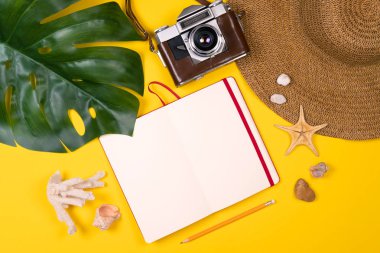 Yaz geçmişi. Düz döşeme, üst görünüm