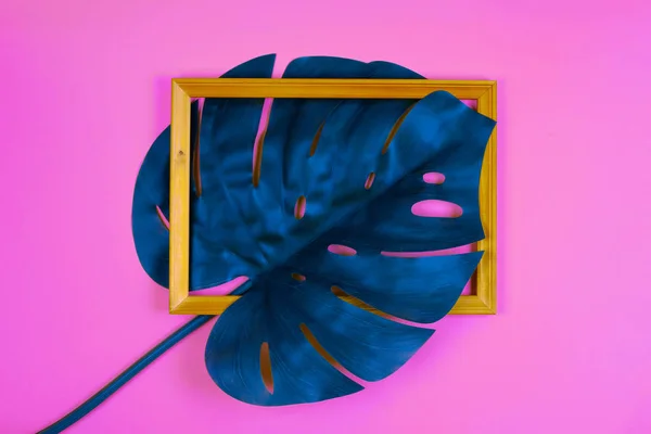 Folha de monstera tropical azul — Fotografia de Stock