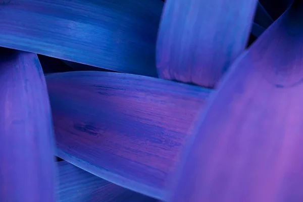 Brillante púrpura hojas vista superior minimalista fondo —  Fotos de Stock
