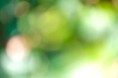 Yeşil bokeh ışıkları soyut arka plan