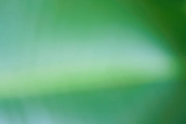 Desfocado dinâmico abstrato fundo verde — Fotografia de Stock