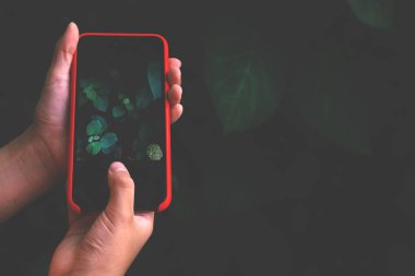 Eko doğa yaşam tarzı kavramı