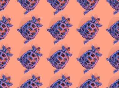 Pembe arka planda kaplumbağa