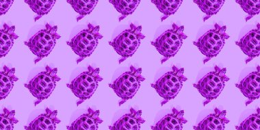 Pembe arka planda kaplumbağa