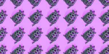 Pembe arka planda kaplumbağa