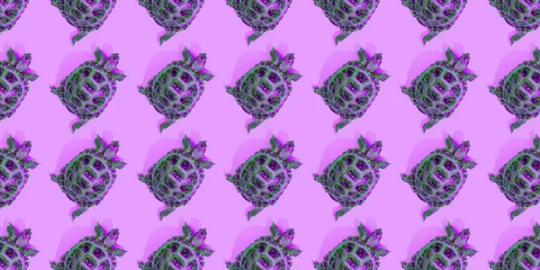 Pembe arka planda kaplumbağa