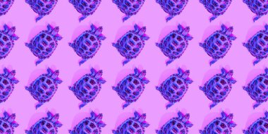 Pembe arka planda kaplumbağa