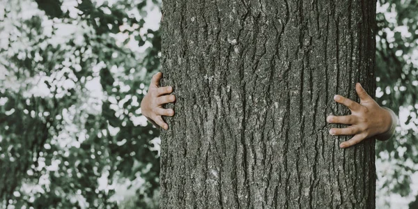 Childs mãos abraçando árvore — Fotografia de Stock