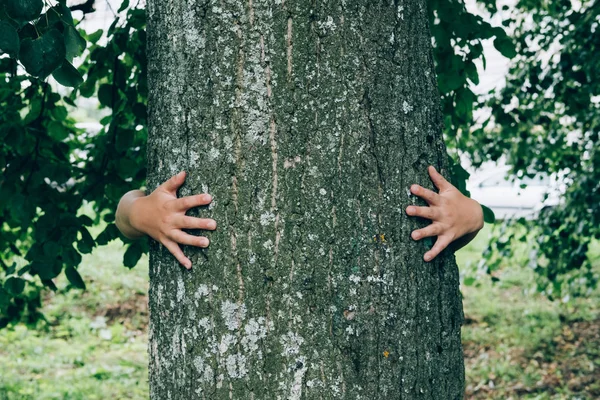 Childs eller sarılma ağacı — Stok fotoğraf