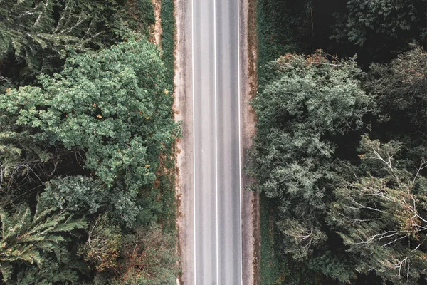 Беспилотник пустой сельской дороги в зеленом лесу — стоковое фото