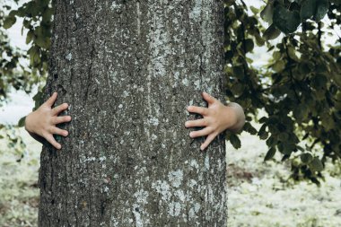 Childs eller sarılma ağacı