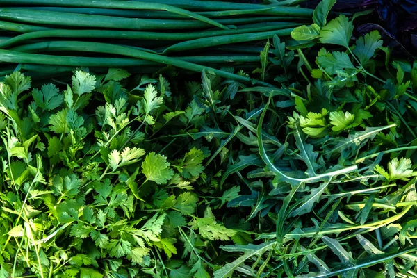 Φρέσκο πράσινο κρεμμύδι και μαϊντανό κοντινό φόντο — Φωτογραφία Αρχείου