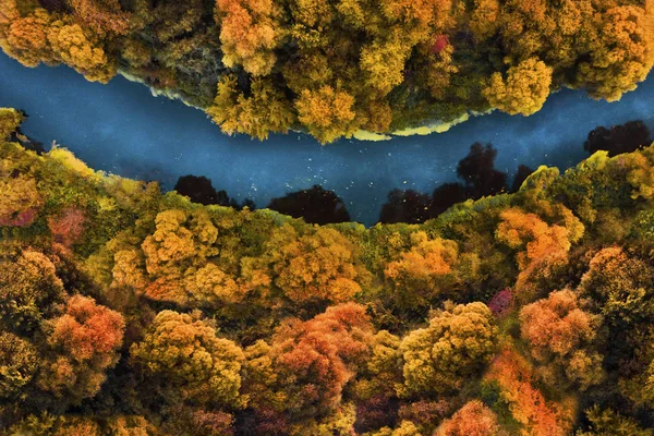 Αεροσκάφος εναέρια ύπαιθρο στο δάσος autumnt — Φωτογραφία Αρχείου