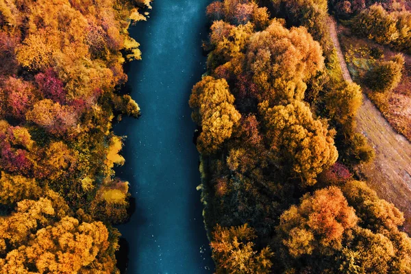 Дрон повітряної сільської річки в автономному лісі — стокове фото