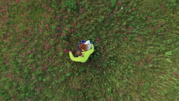 Mujer y hombre sentados sobre hierba verde en el parque — Vídeos de Stock