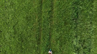 Parkta yeşil çimlerde yürüyen kadın ve erkek