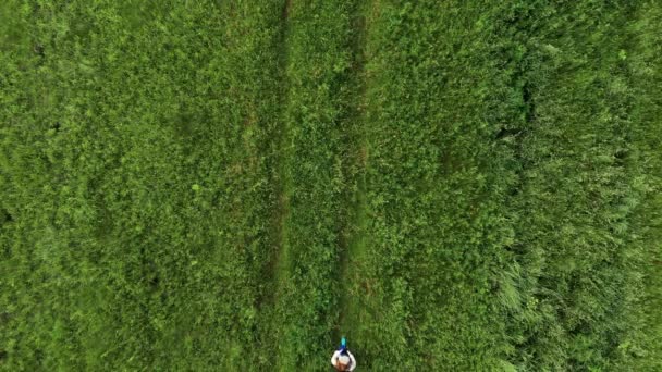 Kobieta i mężczyzna spacery po zielonej trawie w parku — Wideo stockowe