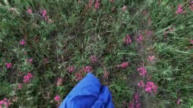 Parkta yeşil çimlerde yürüyen bir kadın