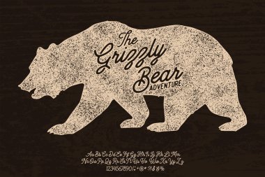 Kuzey Amerika boz ayısı