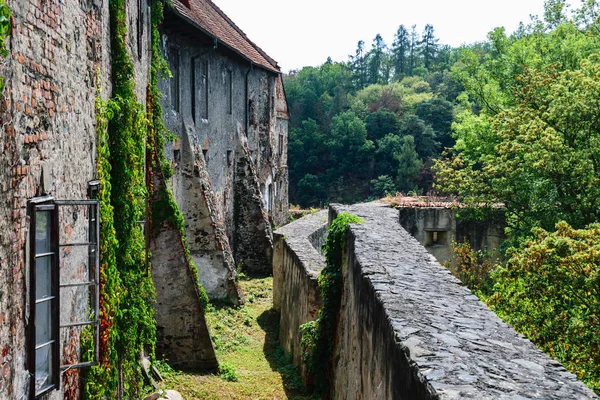 Murs Vieux Château Gothique — Photo