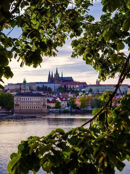 Prag Kalesi Ndeki Vitus Katedrali Bakın Vltava Nehri Nin Karşısındaki — Stok fotoğraf