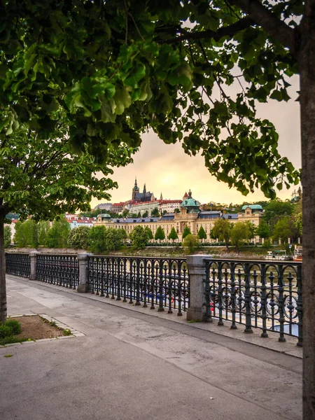 Kasteel Van Praag Door Bomen Een Rivierfront Vltava — Stockfoto