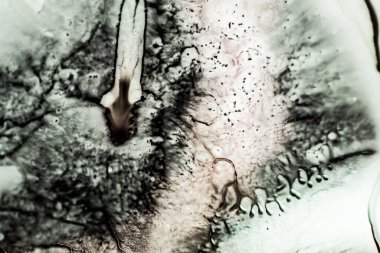 Siyah beyaz arka plan. Siyah beyaz soyutlama..