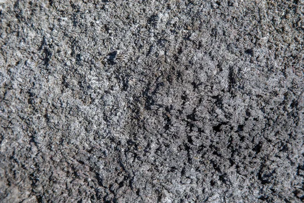 Close Gray Ash Scattered Ground — Stock Photo, Image